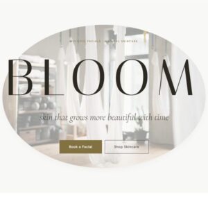 Bloom Library design preview