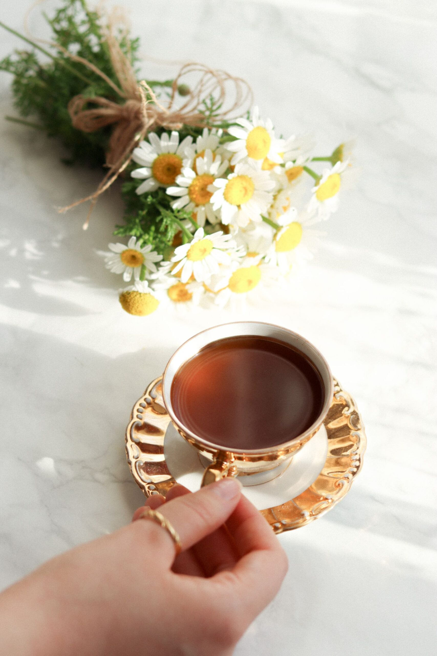 Herbal tea with daisies